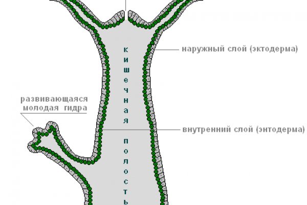 Ссылка на кракен в тор